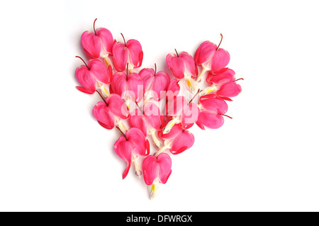 Cuore rosa realizzato da rosa fiori heartshaped Foto Stock