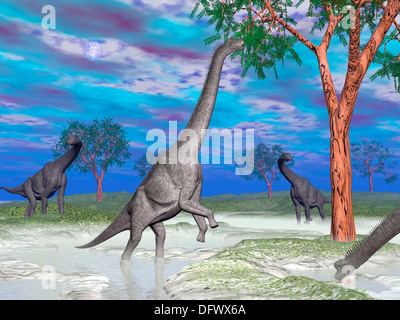 Brachiosaurus dinosauri di pascolare su alberi. Foto Stock