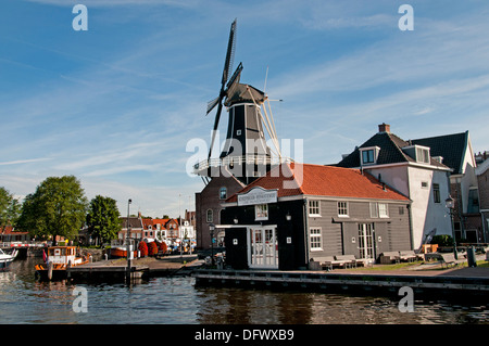 Haarlem Moulin de Adriaan windmill Spaarne Paesi Bassi Olanda olandese Foto Stock