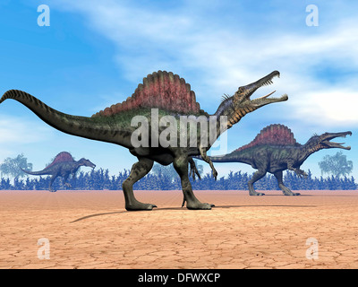 Tre dinosauri Spinosaurus a piedi nel deserto. Foto Stock