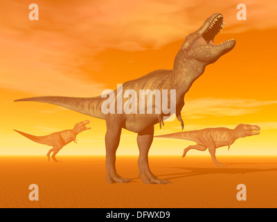 Tre Tyrannosaurus Rex dinosauri in un arancione foggy deserto dal tramonto. Foto Stock