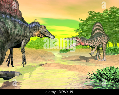 Due dinosauri Spinosaurus affrontare ogni altra faccia a faccia in un ambiente preistorico. Foto Stock