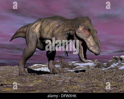 Aggressivo Tyrannosaurus Rex dinosauro a piedi nel deserto su un nuvoloso giorno di inverno con la bocca aperta che mostra i suoi denti. Foto Stock
