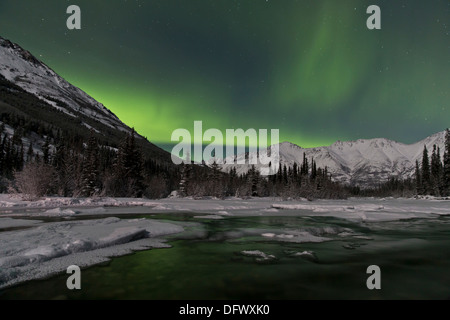 Aurora boreale sopra il lago di Annie, Yukon, Canada. Foto Stock