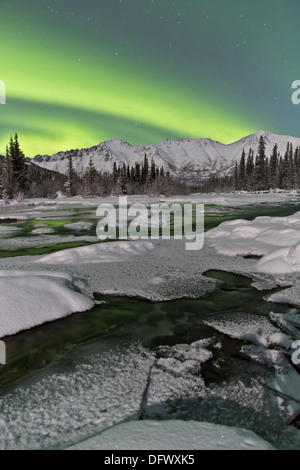 Aurora boreale sopra il lago di Annie, Yukon, Canada. Foto Stock