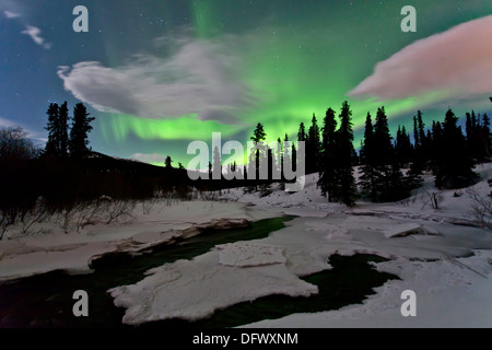 Aurora boreale su creek, Yukon, Canada. Foto Stock