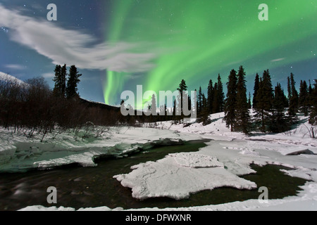 Aurora boreale su creek, Yukon, Canada. Foto Stock