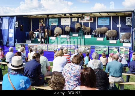 Unione di frontiera mostrano, a Kelso, Scozia, evento annuale Luglio - razza ovina di demo Foto Stock