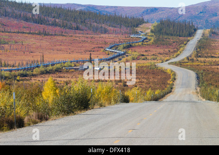 Trans-Alaska oleodotto che corre parallelo con Dalton autostrada che conduce a Prudhoe Bay in Oceano Artico, Alaska Foto Stock