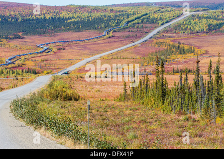 Trans-Alaska oleodotto che corre parallelo con Dalton autostrada che conduce a Prudhoe Bay in Oceano Artico, Alaska Foto Stock