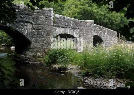 Il XVII secolo Fingle ponte sul fiume Teign vicino Drewestignton, all'interno del Parco Nazionale di Dartmoor, Devon Foto Stock