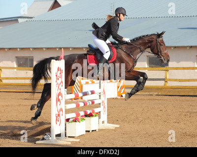 Bay cavallo e cavaliere nel casco salti un show jumping corso gli steccati, a Horse Show. Foto Stock
