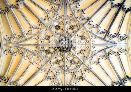 Soffitto a corte Hamton Royal Palace - Londra, Inghilterra Foto Stock