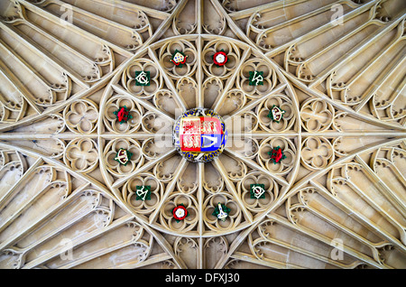Soffitto a corte Hamton Royal Palace - Londra, Inghilterra Foto Stock