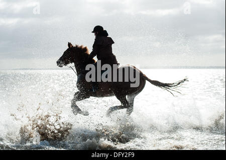 Maplin Sands, Shoeburyness, Essex. 10 ottobre, 2013. Anche con gale force venti predetto, tre piloti hanno portato i loro cavalli da Burnham on Crouch per eseguirle su la Maplin Sands con la bassa marea. Il fresco secco ventoso giorno fatto per un tonificante ride. Credito: Allsorts Stock Photo/Alamy Live News Foto Stock