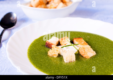 Il fuoco selettivo sulla crosta secca in zuppa di spinaci Foto Stock