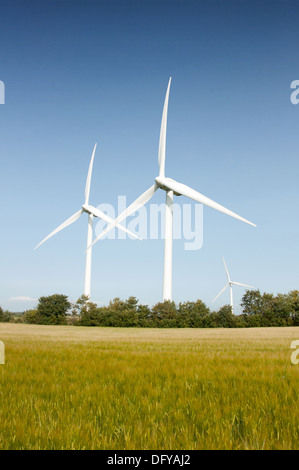 Tre turbine eoliche nel verde lussureggiante paesaggio Foto Stock