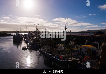 Barche da pesca ormeggiate in porto Burtonport nella Contea di Donegal Irlanda Foto Stock