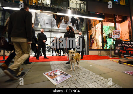 Manchester, Regno Unito . 10 ottobre, 2013. Gli attivisti del gruppo di protesta CAFT (la coalizione di abolire il commercio di pellicce) distribuire la letteratura al di fuori dell'Harvey Nichols a Manchester sulla notte di Vogue Fashion's Night Out nel centro della citta'. Harvey Nichols è uno dei negozi che la rivendicazione di gruppo sono ancora la vendita di capi di abbigliamento realizzati da pelliccia reale. Credito: Russell Hart/Alamy Live News. Foto Stock