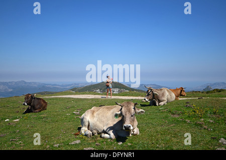 Giovane donna prendendo foto di vacche con telefono cellulare nei laghi di Covadonga Foto Stock