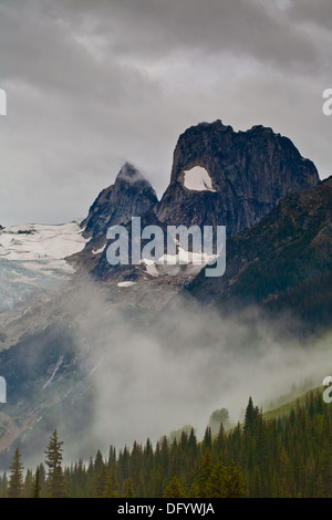 Una scena in Bugaboo Parco Provinciale su un panno umido e nebbioso giorno Foto Stock