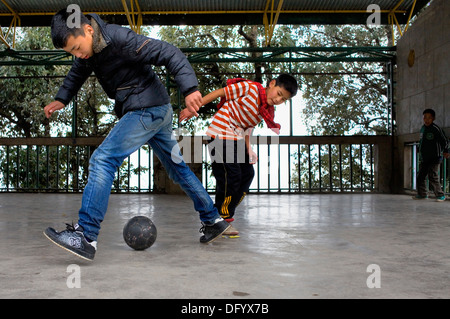 Bambini che giocano, in tibetano i bambini del villaggio. Dharamsala, Himachal Pradesh, India, Asia Foto Stock