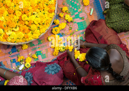 Rurale villaggio indiano le donne sedute intorno a un paniere di fiori di tagete fare ghirlande di fiori. Andhra Pradesh, India Foto Stock