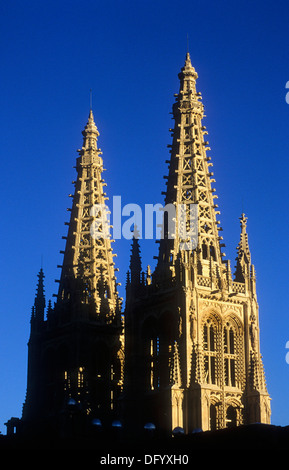 Dettaglio della cattedrale gotica. A Burgos. Spagna. Camino de Santiago Foto Stock