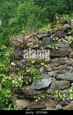 Francia, Ariège - pietre antiche dettaglio, Pont du Diable attraversando il fiume Ariège a Mercus-Garrabet, vicino Via N20. Foto Stock