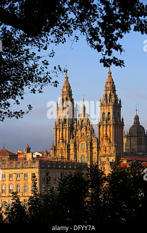 Cattedrale dal parco Alameda. Santiago de Compostela.CoruÃ±una provincia.La spagna. Camino de Santiago Foto Stock