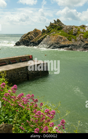 Ingresso del porto a Polperro, Cornwall, Inghilterra Foto Stock