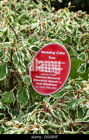Torta di Nozze Tree placca alla National Memorial Arboretum Alrewas, vicino a Lichfield, Staffordshire, England, Regno Unito Foto Stock