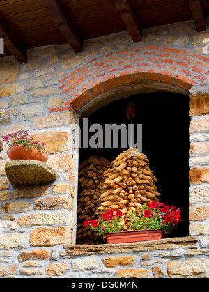 Mazzetto di pannocchie di granoturco essiccazione in ambiente rurale. Foto Stock