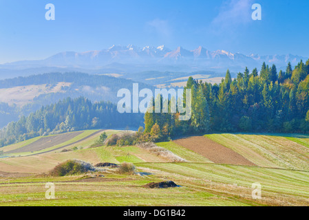 Vista da Spisz a Monti Tatra. Paesaggio di mattina. Polonia Foto Stock
