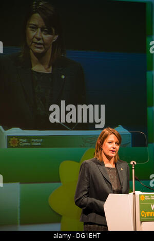 Aberystwyth Wales UK, Ottobre 11 2013 Plaid Cymru leader LEANNE WOOD AM, parlando alla festa annuale conferenza Aberystwyth UK Credit: keith morris/Alamy Live News Foto Stock