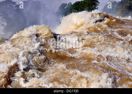 L'Argentina, il Parco Nazionale di Iguassu: turbolente acque del Iguassu Falls Dopo forti piogge cadute Foto Stock