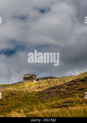 Abbandonato stalattite hut su Northumbria collina, con nuvole grigie e le pecore. Foto Stock