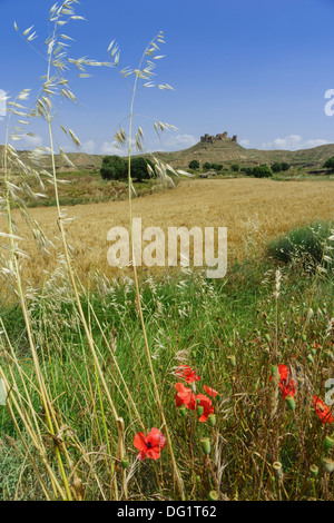 A nordovest della Spagna - il castello di Montéaragon vicino a Huesca Foto Stock