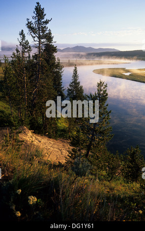 Elk265-2273v Wyoming, il Parco Nazionale di Yellowstone, Hayden Valley, Yellowstone River Foto Stock