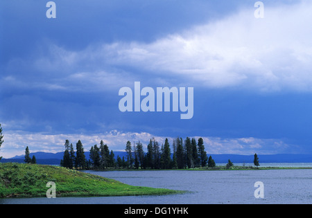 Elk265-2457 Wyoming, il Parco Nazionale di Yellowstone, Lago Yellowstone, paesaggio Foto Stock