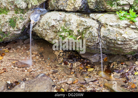 Silver Spring - punto di riferimento nella shapsugskaya zona anomala nelle montagne del Caucaso Foto Stock