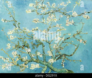 Fiori di mandorlo di Vincent van Gogh 1890 Foto Stock