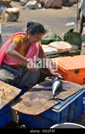 Una donna taglia un pesce all'interno del mercato, Vizhinjam villaggio di pescatori, Kerala, India Foto Stock