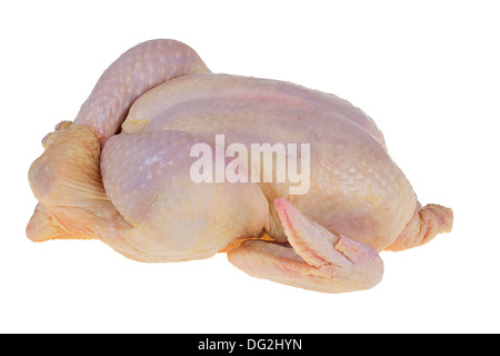 Un pollo crudo,isolati su sfondo bianco Foto Stock