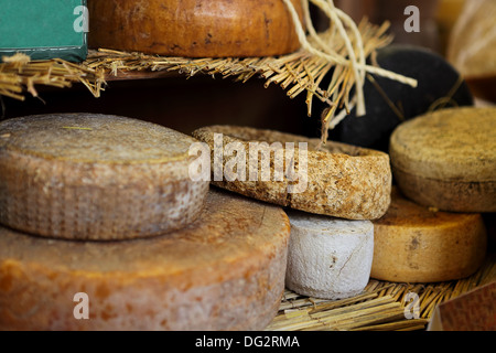 Ruote di formaggi stagionati sul supporto a livello internazionale Festa del formaggio a Bra, Italia settentrionale. Foto Stock