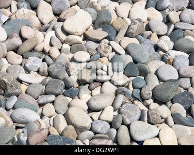 Ciottoli su una spiaggia Foto Stock