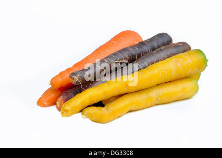 Le carote di diversi colori su sfondo bianco Foto Stock