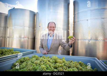 Frazer Thompson CEO di inglese enologo cappella giù Vini, Tenterden, Kent, England, Regno Unito Foto Stock