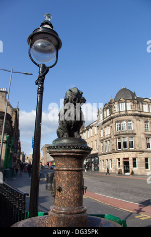 Città di Edimburgo in Scozia. Il Greyfriars Bobby vita scultura dimensioni da William Brodie. Foto Stock