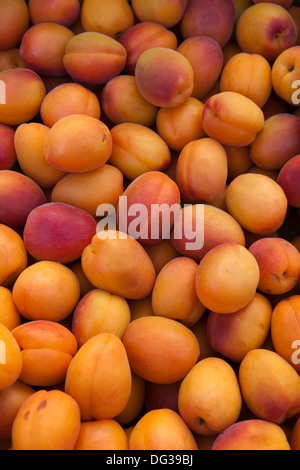 Albicocche, Prunus armeniaca presso un mercato in stallo, Hannover, Bassa Sassonia, Germania, Europa Foto Stock